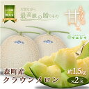 【ふるさと納税】クラウンメロン【上(山等級)】特大玉(1.5kg前後)2玉入り 果物類 メロン青肉 フルーツ