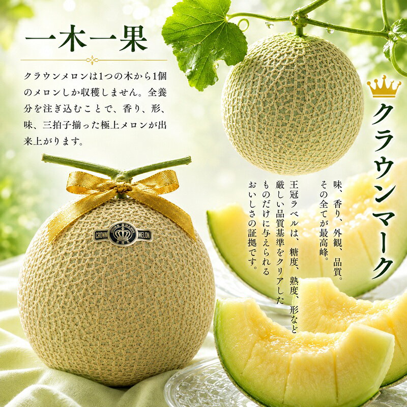【ふるさと納税】クラウンメロン 訳あり6玉 果物類 メロン青肉 フルーツ f224618-mori-10000564 静岡県森町 サンプル画像3