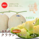【ふるさと納税】【6か月定期便】クラウンメロン 訳あり2玉