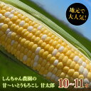 【ふるさと納税】大人気！しんちゃん農園の甘〜いとうもろこし「甘太郎」（10〜11本入り）　【 野菜 新鮮 高糖度 甘い 柔らかい 子供 おやつ 獲れたて 美味しい 弾ける食感 食べ応え 】　お届け：2023年7月1日〜15日･･･