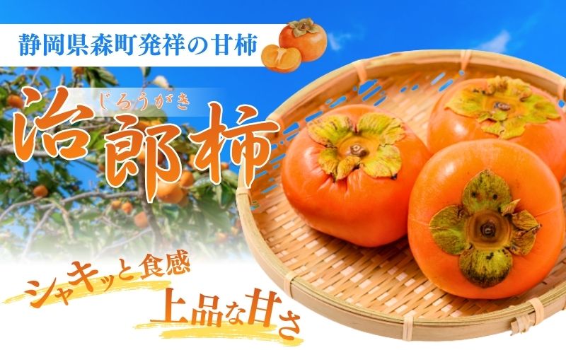 【ふるさと納税】森の治郎柿（10玉） 果物 両角柿園 静岡県産 次郎柿　お届け：2026年11月1日～12月1日まで f224618-mori-10000665 静岡県森町 サンプル画像3