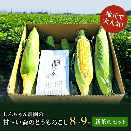 しんちゃん農園の甘～い森のとうもろこしと新茶のセット(とうもろこし8～9本入り、新茶1P)　【 とうもろこし 甘い 採れたて 野菜 おやつ 柔らか こども 人気 お茶 セット 】　お届け：2024年6月上旬～7月中旬