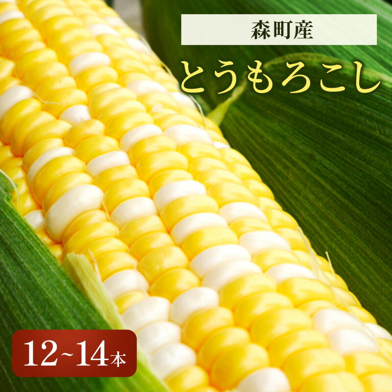 【ふるさと納税】森のとうもろこし（12～14本）　【 野菜 行列 人気 美味しい 生 甘い 高糖度 自慢 子..