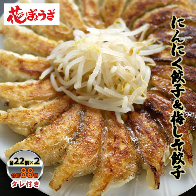 にんにく餃子(22個入り×2袋)と梅しそ餃子(22個入り×2袋)のセット 惣菜 冷凍餃子 中華 夕飯 夜ごはん おかず 食べ比べ おつまみ ビールのおつまみ