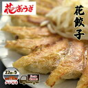 【ふるさと納税】花餃子110個(22個入×5袋)3ヶ月毎4回お届け 加工品 惣菜 冷凍餃子 ヘルシー おかず つまみ 中華 お酒のあて 夕飯 餃子パーティー ビールのつまみ