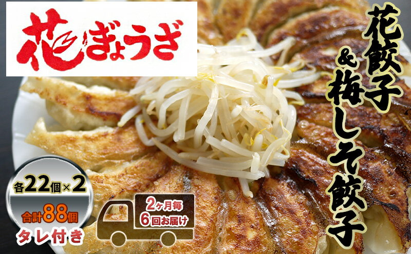 【ふるさと納税】花餃子(22個入×2袋)と梅しそ餃子(22個入×2袋)のセット 2ヶ月毎6回お届け 惣菜 冷凍餃子 中華 夕飯 夜ごはん おかず 食べ比べ おつまみ ビールのおつまみ