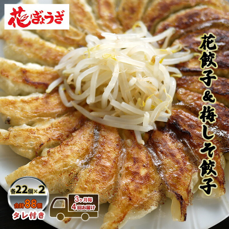 花餃子(22個入×2袋)と梅しそ餃子(22個入×2袋)のセット 3ヶ月毎4回お届け 惣菜 冷凍餃子 中華 夕飯 夜ごはん おかず 食べ比べ おつまみ ビールのおつまみ