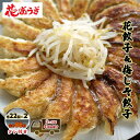 【ふるさと納税】花餃子(22個入×2袋)と梅しそ餃子(22個入×2袋)のセット 3ヶ月毎4回お届け 惣菜 冷凍餃子 中華 夕飯 夜ごはん おかず 食べ比べ おつまみ ビールのおつまみ