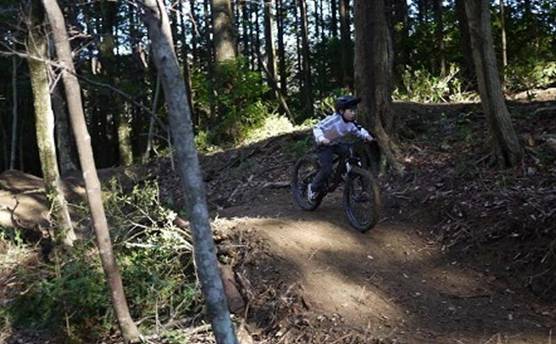 【ふるさと納税】ミリオンペタルバイクパーク 利用券 3回分 体験チケット 四季折々 雑木林 自然 満喫 マウンテンバイク 子供 大人 初心者 ベテランライダー こだわり コース f224618-mori-10000691 静岡県森町 サンプル画像3