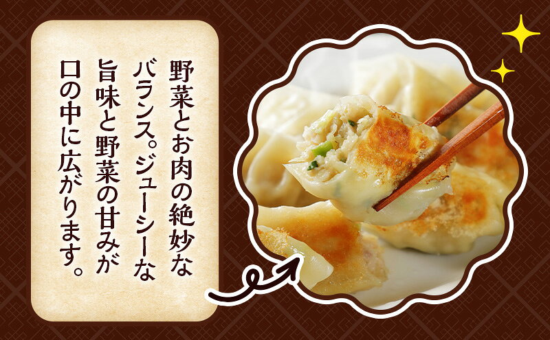 【ふるさと納税】いちりきの甘口肉餃子　100個　食品 惣菜 餃子 ぎょうざ ギョーザ ジューシー おかず おつまみ 冷凍 いちりきのコロッケ 老舗 静岡県 森町 f224618-mori-10000915 静岡県森町 サンプル画像3