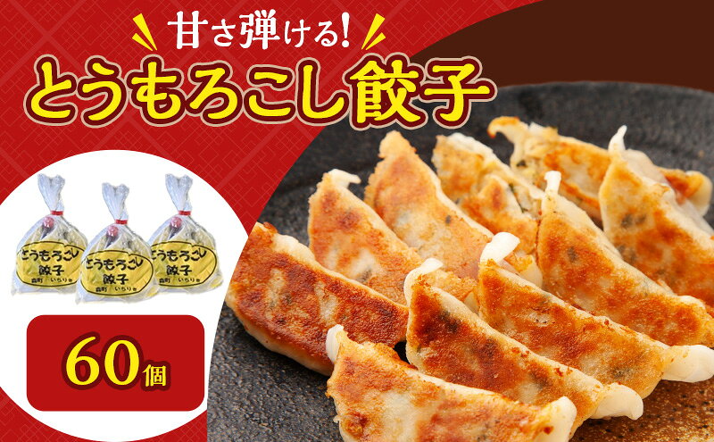 【ふるさと納税】いちりきのとうもろこし餃子60個＆甘口肉餃子60個セット　食品 惣菜 餃子 ぎょうざ ギョーザ おかず おつまみ 食べ比べ セット 冷凍 いちりきのコロッケ 老舗 静岡県 森町 f224618-mori-10000914 静岡県森町 サンプル画像3