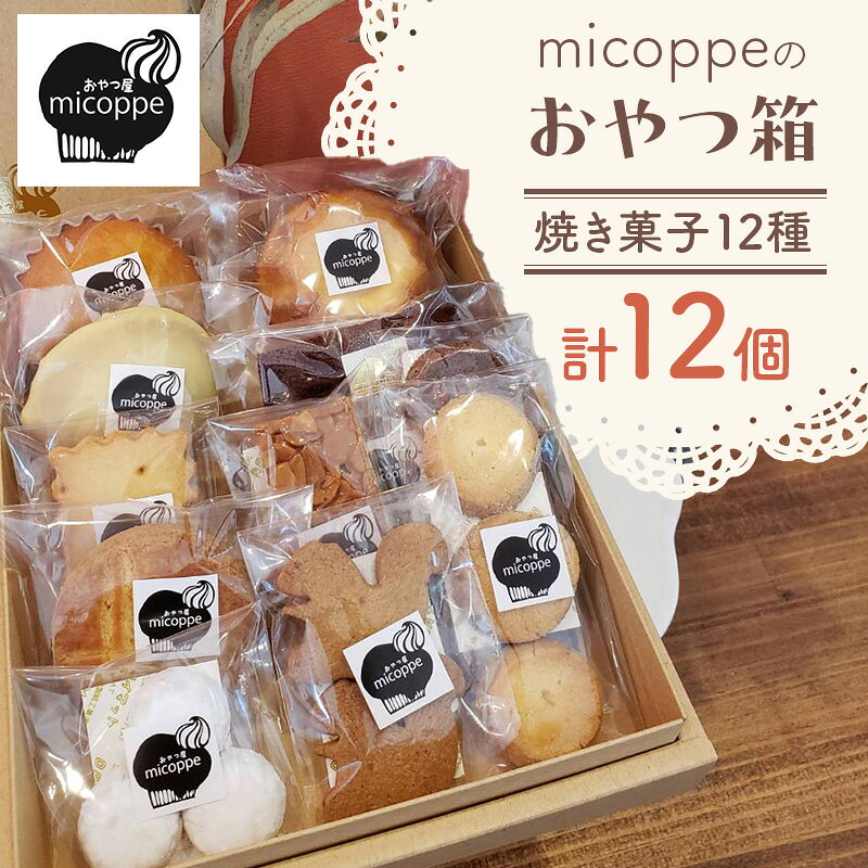 おやつ屋micoppeのおやつ箱(焼き菓子12種・計12個)焼菓子 クッキー サブレ マドレーヌ フィナンシェ レモンケーキ セット 詰合せ 手作り おやつ スイーツ 静岡 森町