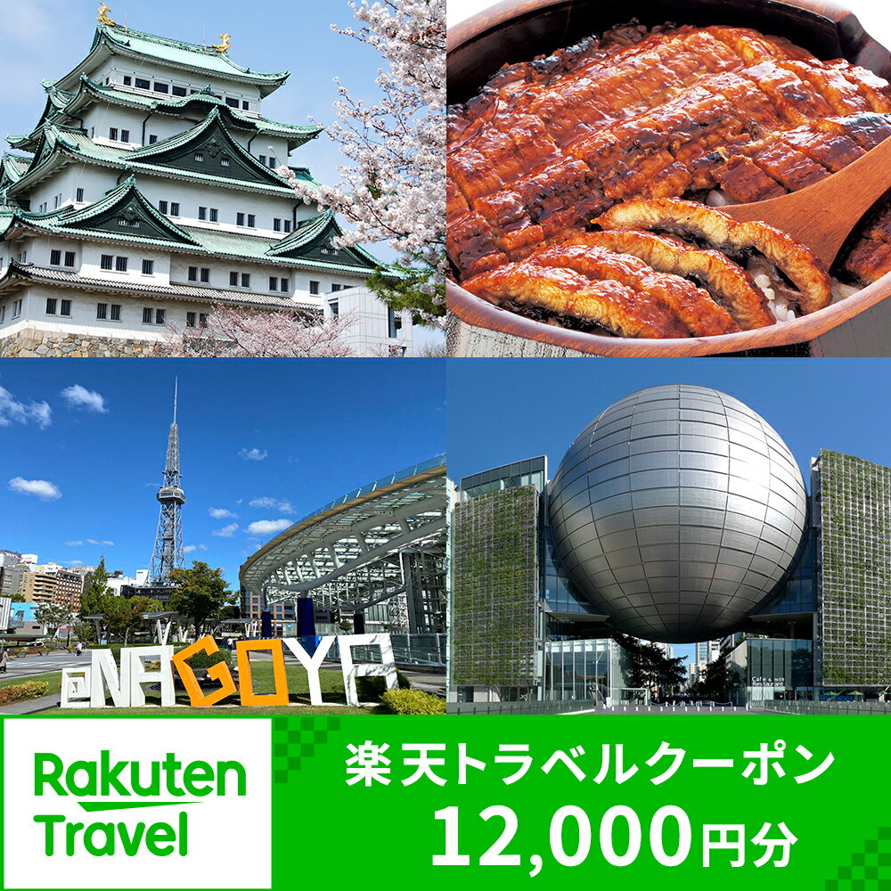 【ふるさと納税】愛知県名古屋市の対象施設で使える楽天トラベルクーポン 寄付額40,000円