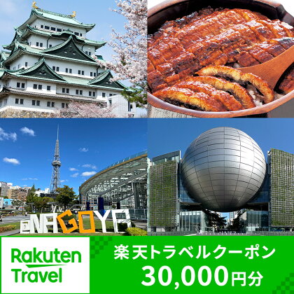 愛知県名古屋市の対象施設で使える楽天トラベルクーポン 寄付額100,000円