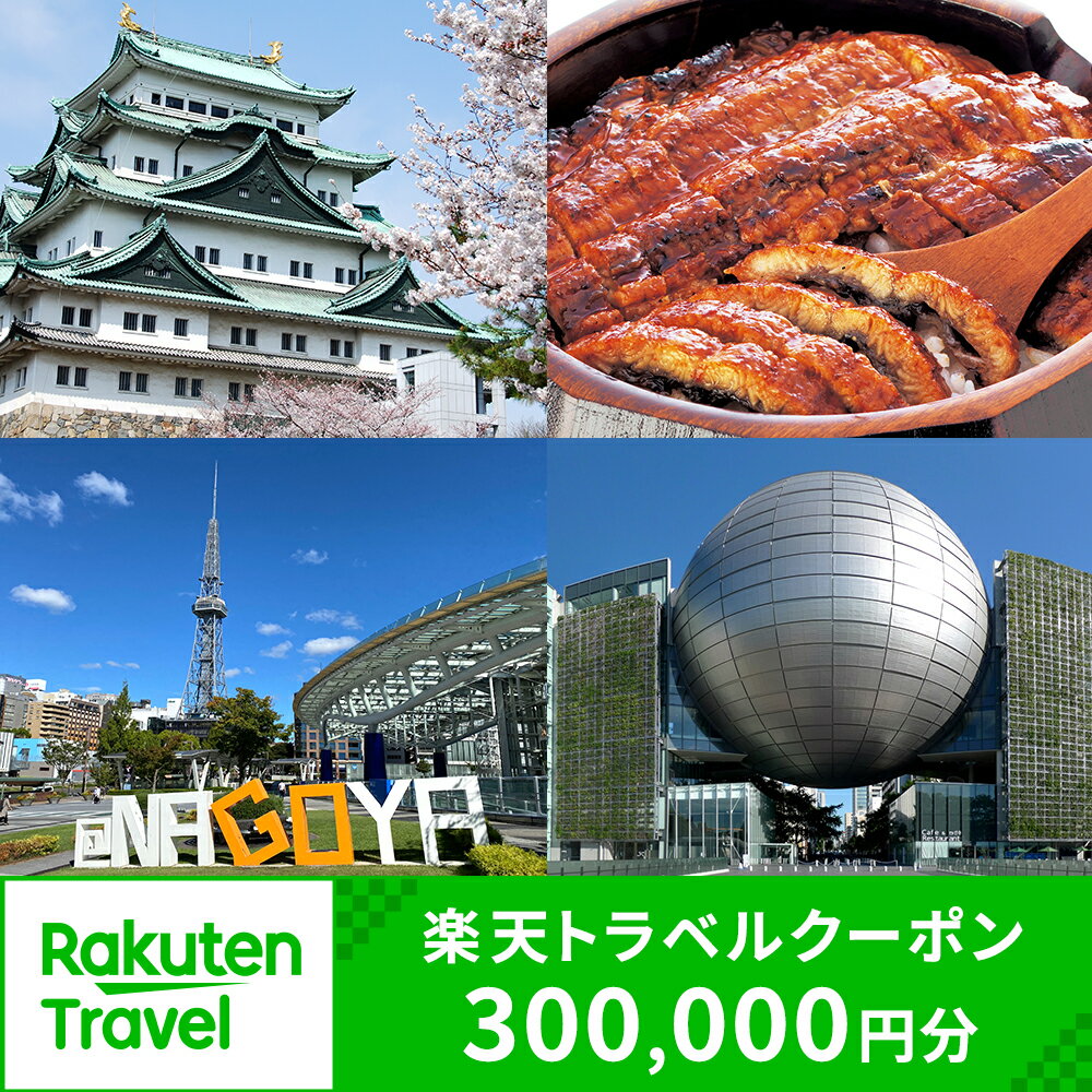 【ふるさと納税】愛知県名古屋市の対象施設で使える楽天トラベルクーポン 寄付額1,000,000円