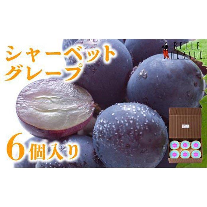 16位! 口コミ数「0件」評価「0」【すっきりした甘さ】ベルヘラルドシャーベットグレープ 6個入 なめらか食感 スイーツ | 愛知県 名古屋市 愛知 名古屋 楽天ふるさと お取･･･ 