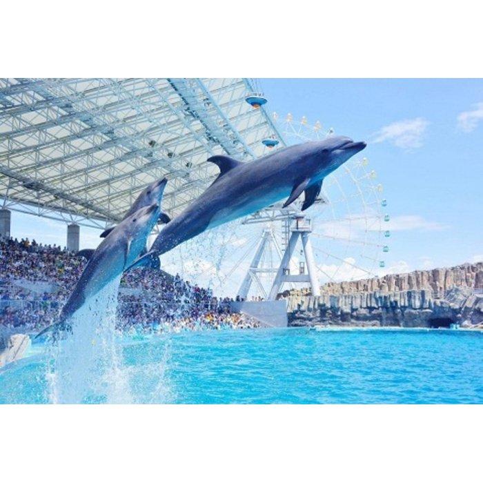 【ふるさと納税】徳川美術館・名古屋港水族館入館券（限定柄）セ