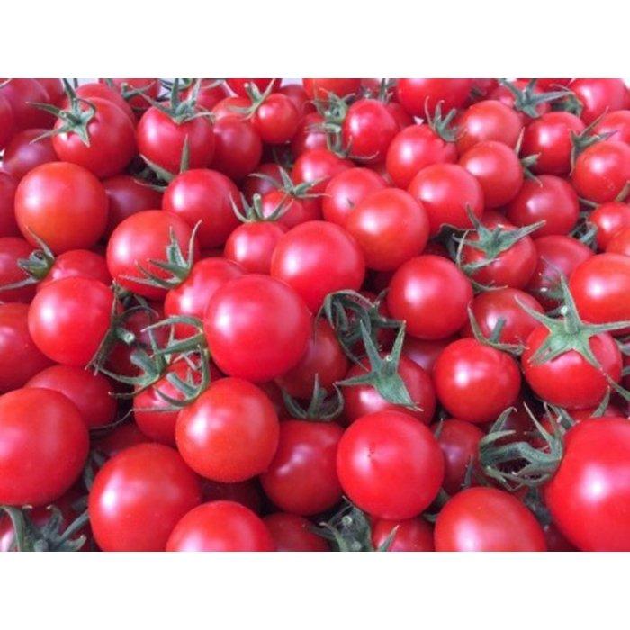 【ふるさと納税】飯田農園 幻のトマト 有機栽培...の紹介画像3