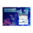 【ふるさと納税】名古屋港水族館入館券（大人、小中学生入館券）