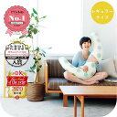 20位! 口コミ数「0件」評価「0」4262-8888-56■妊婦さんのための洗える抱き枕 レギュラーサイズ 天竺グレーボーダー（授乳クッションにもなる三日月形の抱きまくら）プ･･･ 