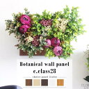 【ふるさと納税】Botanical c.class 28 ホワイトウッド(3)