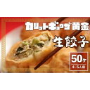 【ふるさと納税】カリットギョウザ生餃子50ケ【4～5人前】ジューシー