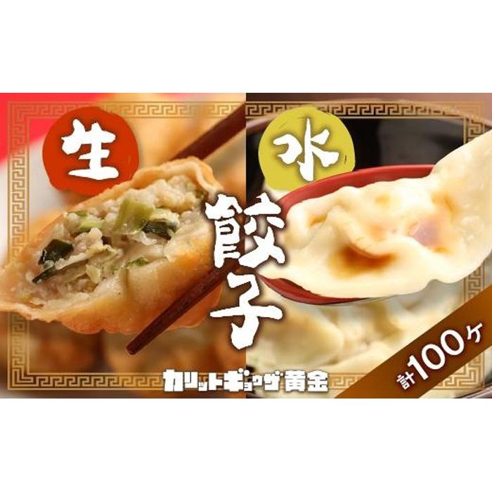 【ふるさと納税】カリットギョウザやまもりセット2種(100ケ)餃子60 水餃子40