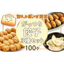 【ふるさと納税】カリットギョウザがっつりセット3種(100ケ)餃子 水餃子 スマイル餃子