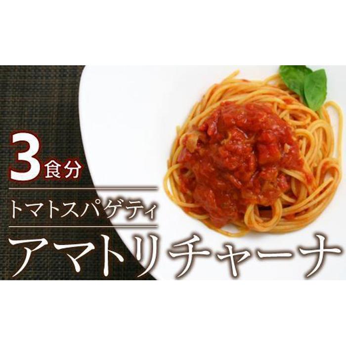 39位! 口コミ数「0件」評価「0」ローマの歴史を詰め込んだ　アマトリチャーナ 3人前 スパゲティ付き