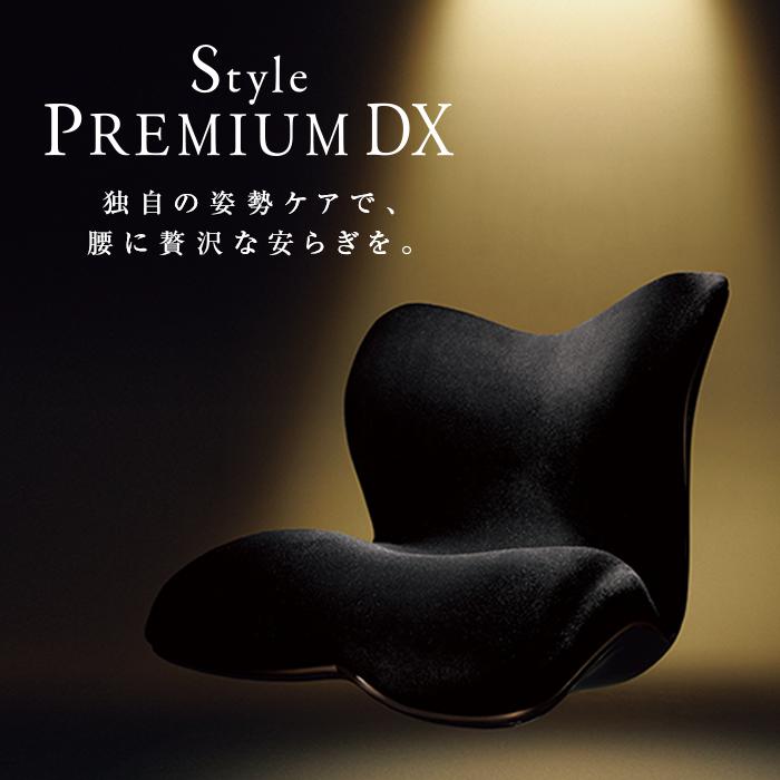 イス・チェア(クッションチェア)人気ランク13位　口コミ数「0件」評価「0」「【ふるさと納税】Style PREMIUM DX」