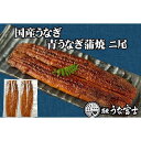 【ふるさと納税】炭焼うな富士　国産特大うなぎ長焼二尾入り |