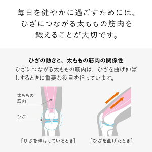 【ふるさと納税】【Mサイズ】SIXPAD Knee Fit