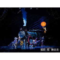 【ふるさと納税】劇団四季ミュージカル『キャッツ』名古屋公演 S席チケット(2023年3月公演)　【土日祝 昼公演限定】2名様分 画像2