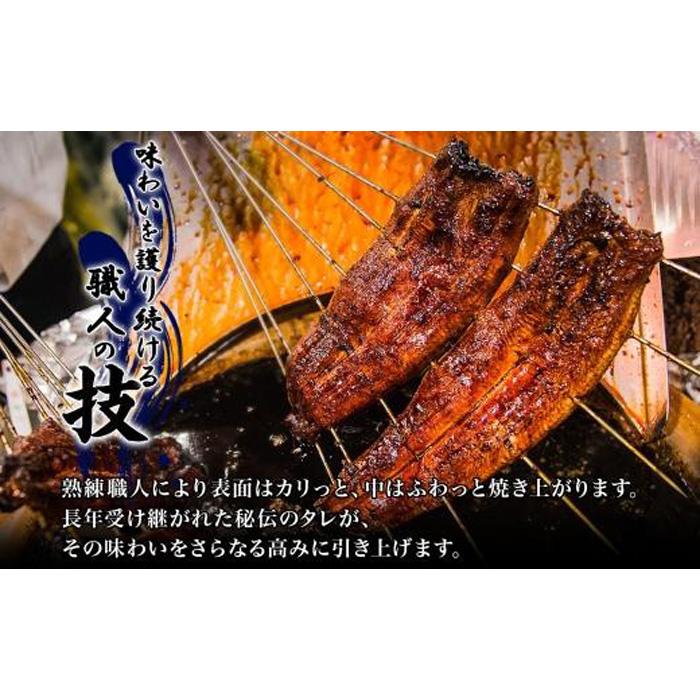 【ふるさと納税】名古屋 うなぎのしら河 国産 鰻 ひつまぶし倶楽部2人前蒲焼き 240g 国産 うなぎ 名物 櫃まぶし ウナギ お茶漬け ギフト お取り寄せ グルメ 送料無料 愛知県 名古屋市