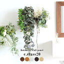 【ふるさと納税】Botanical c.class 20