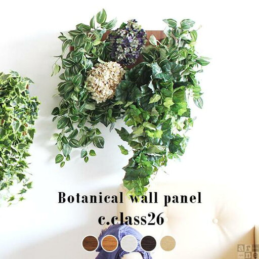 【ふるさと納税】Botanical c.class 26 【ふるさと納税】Botanical c.class 26