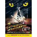 【ふるさと納税】劇団四季ミュージカル『キャッツ』名古屋公演　S席チケット(2024年3月～4月公演)　【土日祝 昼公演限定】1名様分