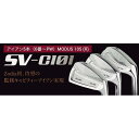 【ふるさと納税】ゾディア(Zodia)ゴルフクラブ SV-C101 アイアン5本(6番〜PW)シャフト MODUS105 フレックスR