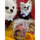 【ふるさと納税】愛犬介護食 朝引き新鮮!名古屋コーチンふりかけ&ジャーキーの詰合せ