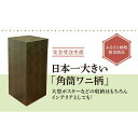 【ふるさと納税】でらでっかいワニ筒