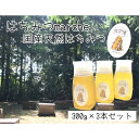 【ふるさと納税】なごや天然はちみつボトル300g×3セット