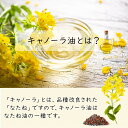 愛知県名古屋市の画像3
