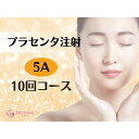 【ふるさと納税】【プラセンタ】5A 10回チケット