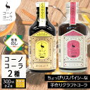 【ふるさと納税】《無地熨斗》コーノコーラ おとなコーラ 300ml 各1本 希釈用 クラフトコーラ コーラシロップ スパイス ハーブ 柑橘 独自製法 甜菜糖 無着色 無香料 手作り 飲料 ドリンク ギフト お取り寄せ 愛知県 名古屋市