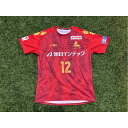 【ふるさと納税】【トップスポーツチーム活動支援事業寄附金専用】LOVELEDGE 2025 レプリカユニフォーム FP/GK(背番号付き)