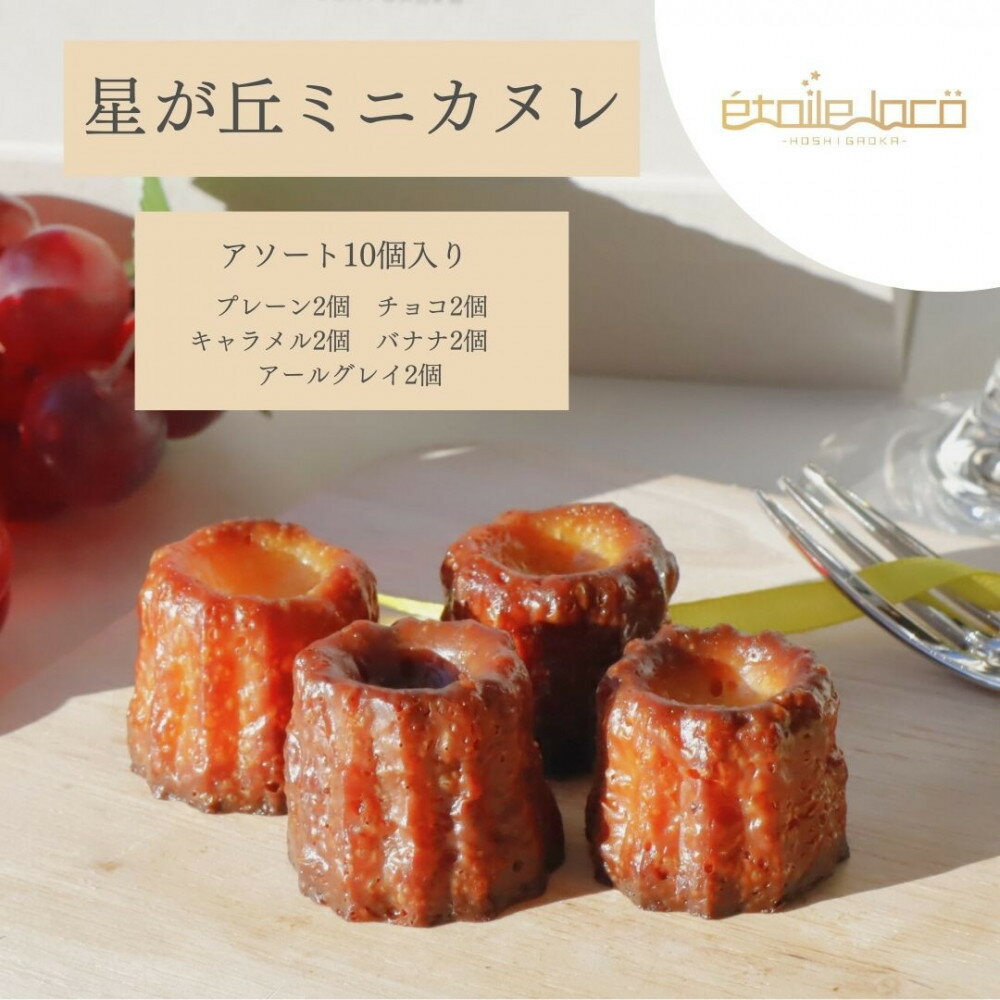 【ふるさと納税】【星が丘ミニカヌレ アソートセット10個入り】フランスの焼き菓子 スイーツ 美味しい おすすめ 冷凍 愛知県 人気 高級