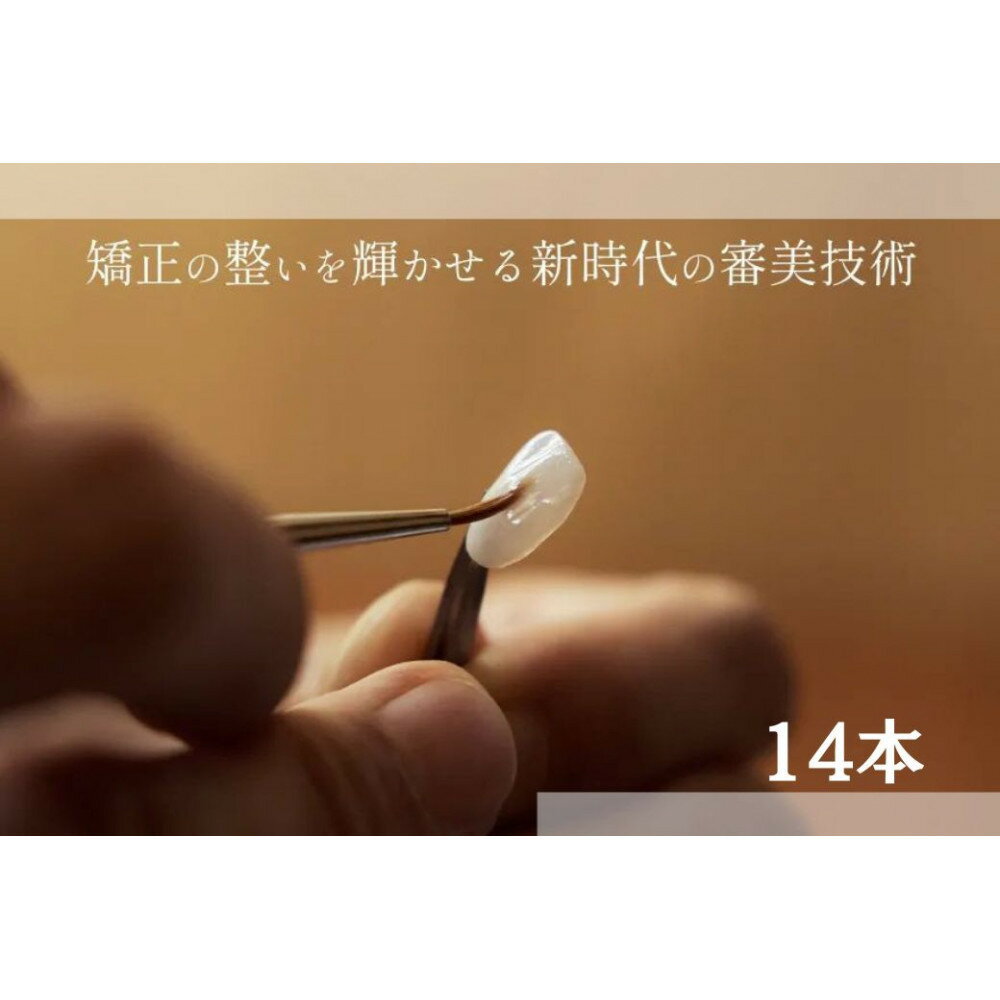 【ふるさと納税】ブラックフィルム施術券(14本)