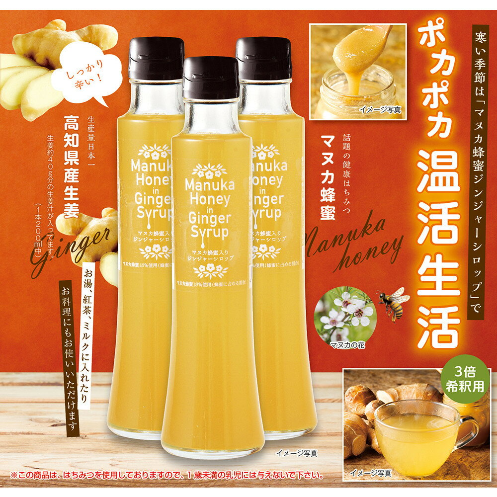 Mother's Marketマヌカ蜂蜜入りジンジャーシロップ 200ml×3本