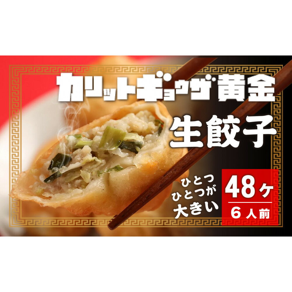 カリットギョウザ 生餃子48ケ[6人前]ジューシー ひとつひとつが大きい