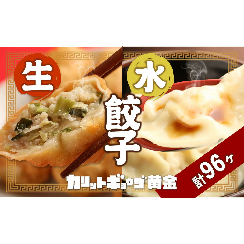 【ふるさと納税】カリットギョウザ やまもりセット2種（96ケ）餃子 64 水餃子 32